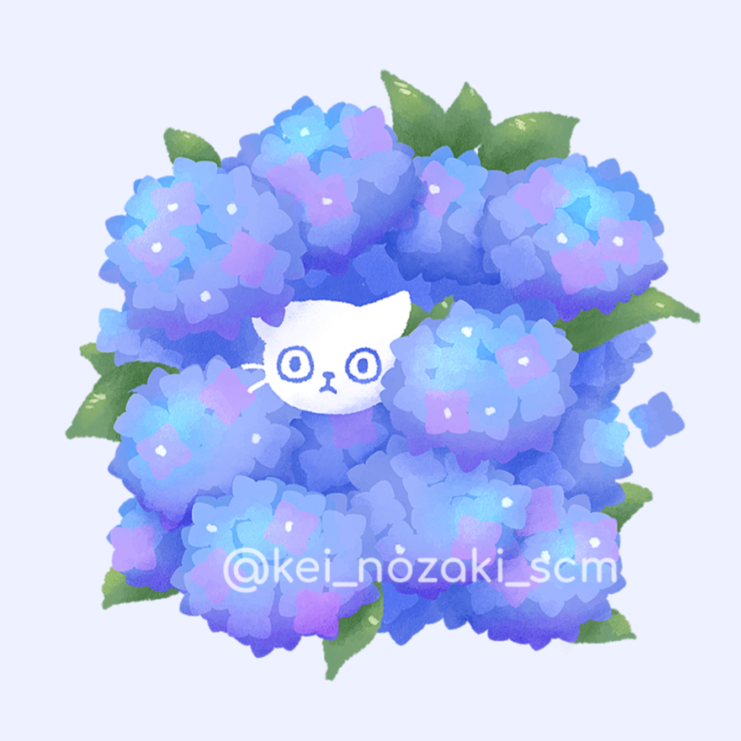 紫陽花からひょっこりねこ